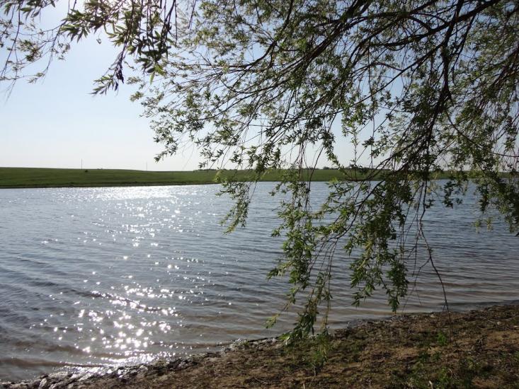 Виноградівка з panoramio.com - Виноградівка