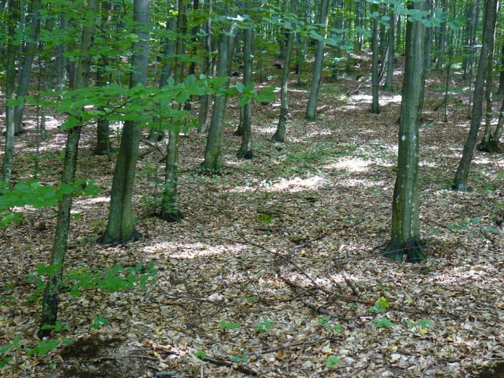 Худльово з panoramio.com - Худлово