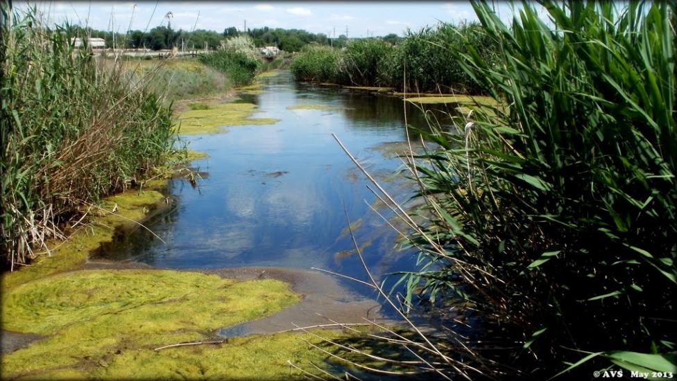 Соледар з panoramio.com - Соледар