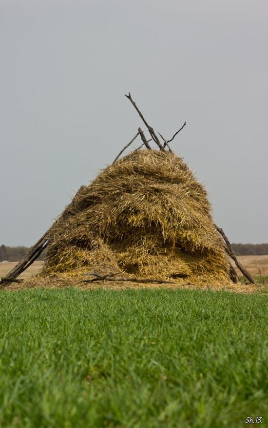 Заріцьк з panoramio.com - Зарецк
