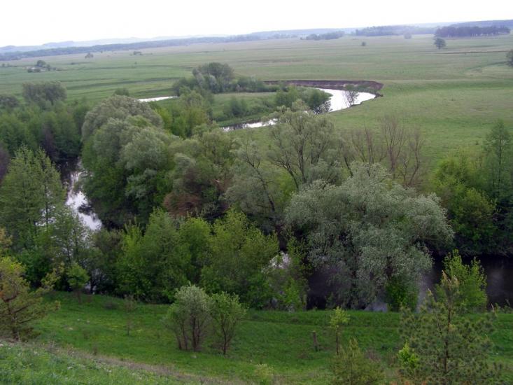 Могриця з panoramio.com - Могрица