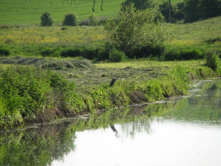 Голосків з panoramio.com - Голосков