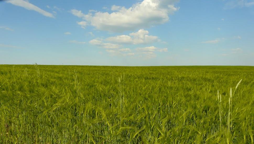 Шпиківка з panoramio.com - Шпиківка