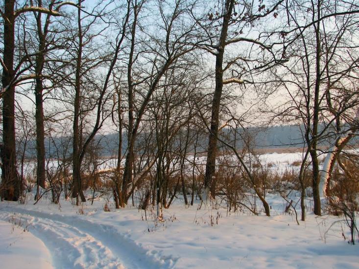Волиця з panoramio.com - Волица