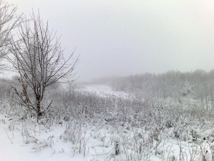 Лаврів з panoramio.com - Лавров
