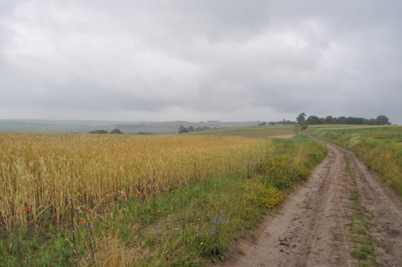 Заріцьк з panoramio.com - Заріцьк