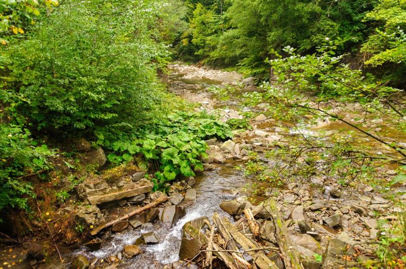 Буківцьово з panoramio.com - Буковцево