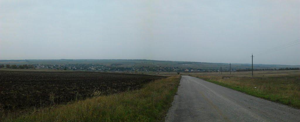 Новобешеве з panoramio.com - Новобешеве