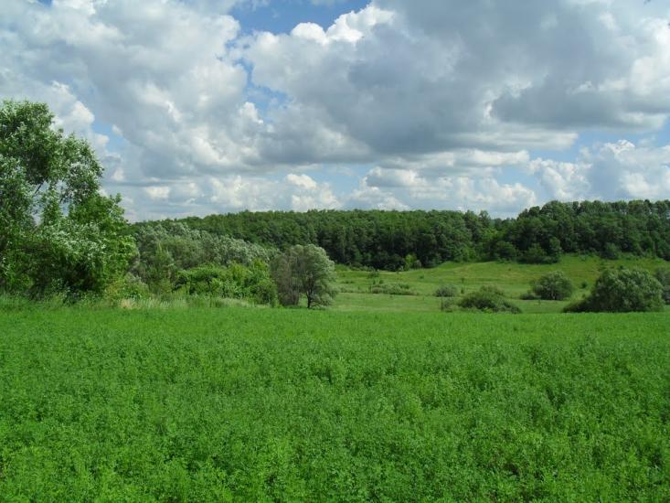 Семереньки з panoramio.com - Семереньки