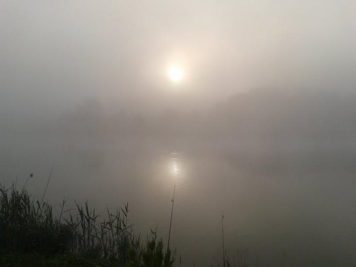 Сорокодуби з panoramio.com - Сорокодубы