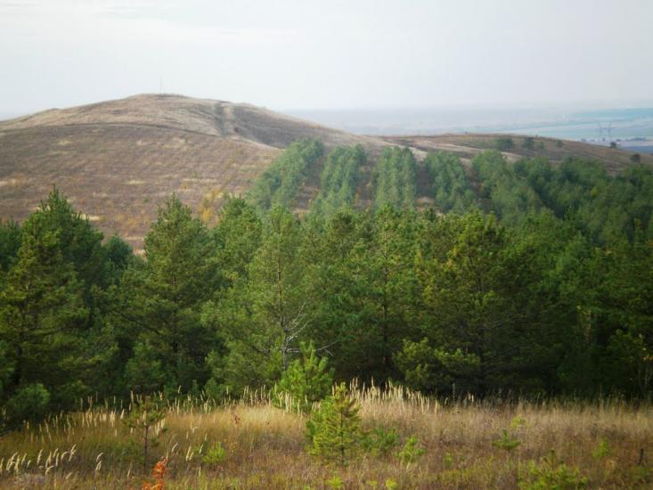 Бучина з panoramio.com - Бучина