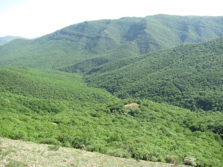 Міжріччя з panoramio.com - Mizhrichchya