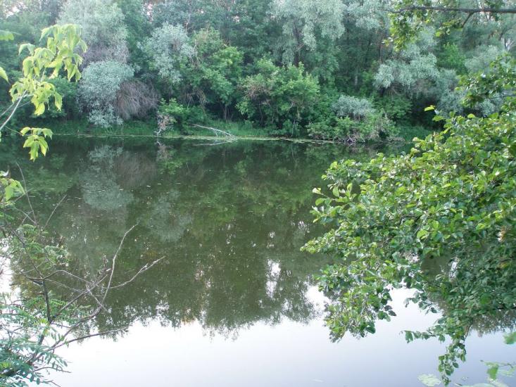 Остап'є з panoramio.com - Ostapye