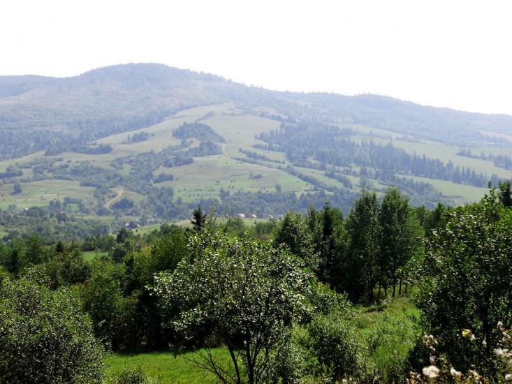 Плав'я з panoramio.com - Плавья