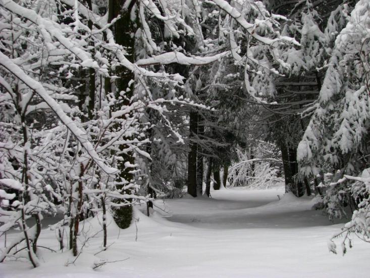 Завій з panoramio.com - Завій