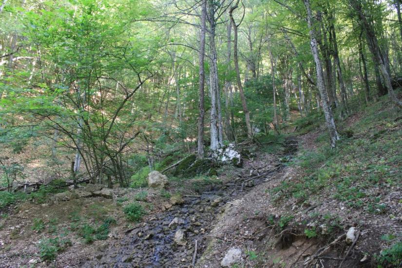 Щасливе з panoramio.com - Schaslyve