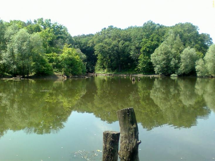 Селезнівка з panoramio.com - Селезневка