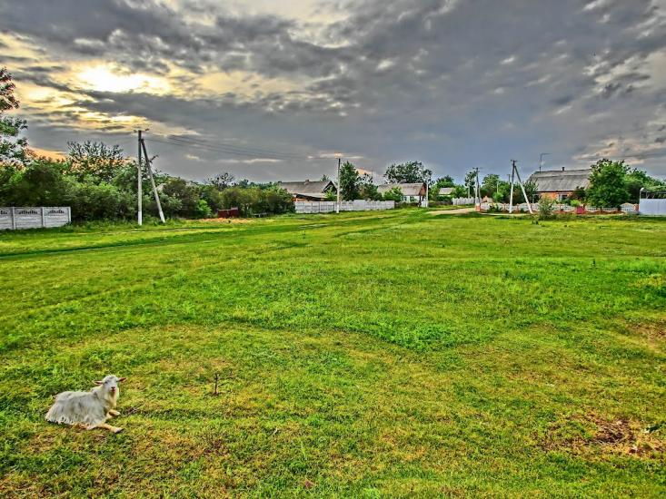 Андріївка з panoramio.com - Андріївка