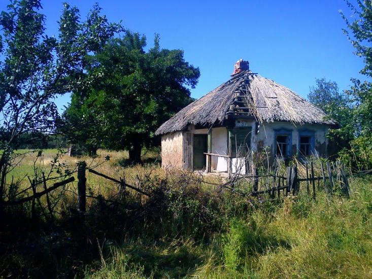 Новоселівка з panoramio.com - Новоселівка