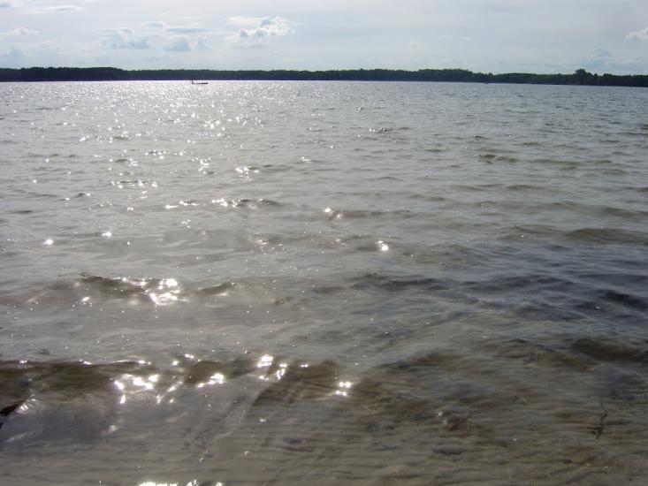 Мельники з panoramio.com - Мельники