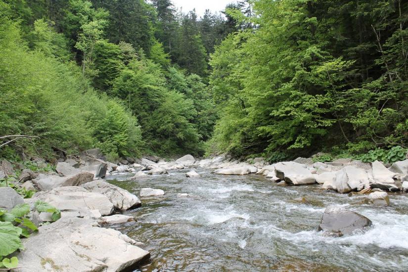 Буківцьово з panoramio.com - Буковцево