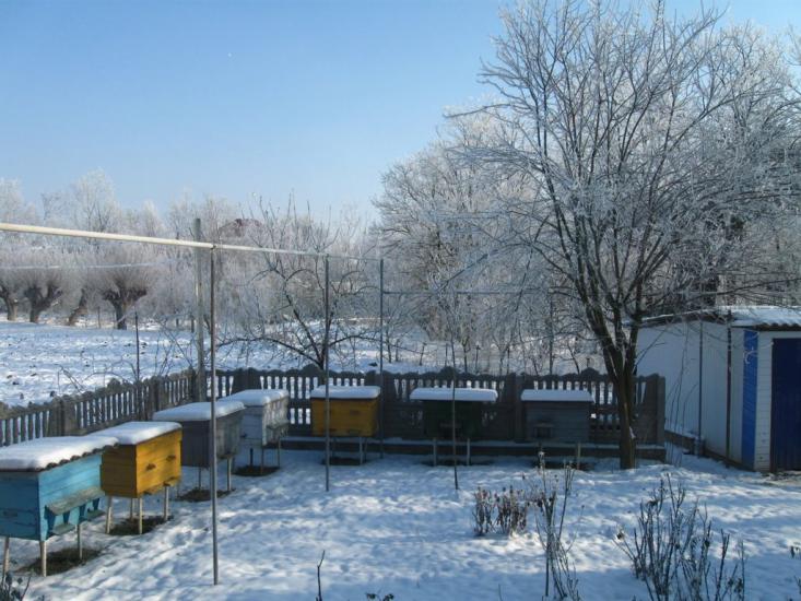 Тарасівці з panoramio.com - Тарасівці