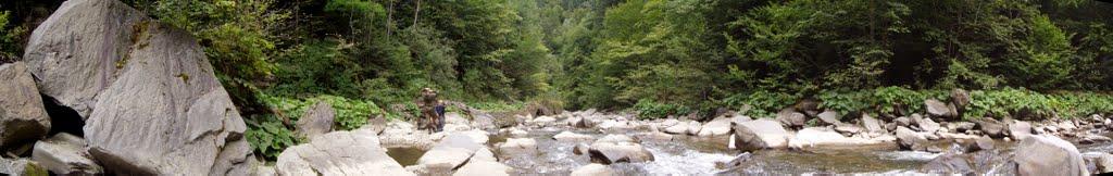 Вишка з panoramio.com - Vyshka