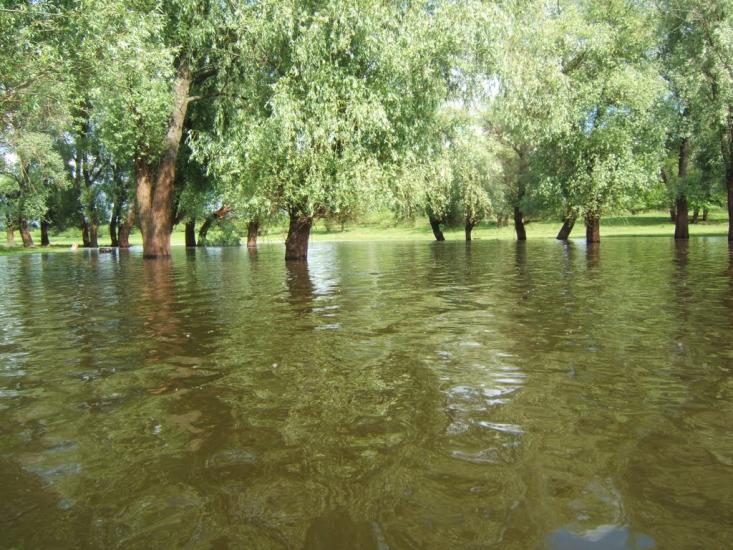 Макошине з panoramio.com - Макошино