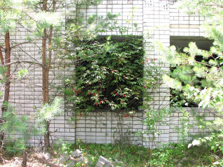 Стригани з panoramio.com - Стриганы