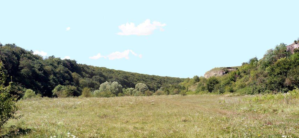 Залуччя з panoramio.com - Залучье