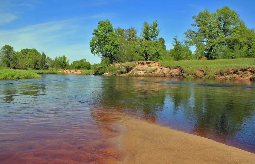 Сущани з panoramio.com - Сущаны