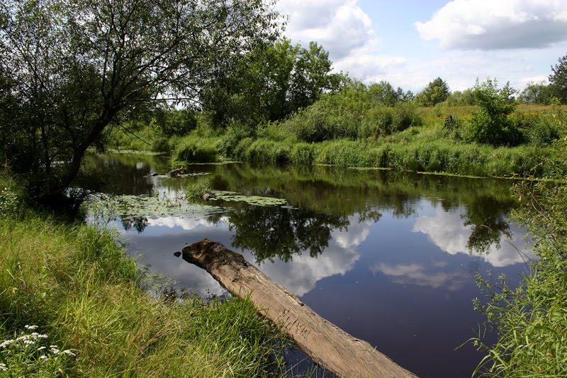 Олевськ з panoramio.com - Олевск