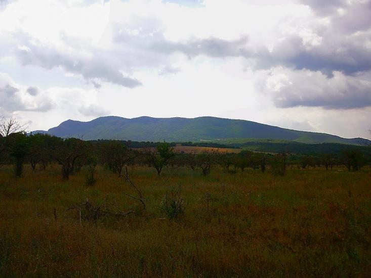 Аромат з panoramio.com - Аромат