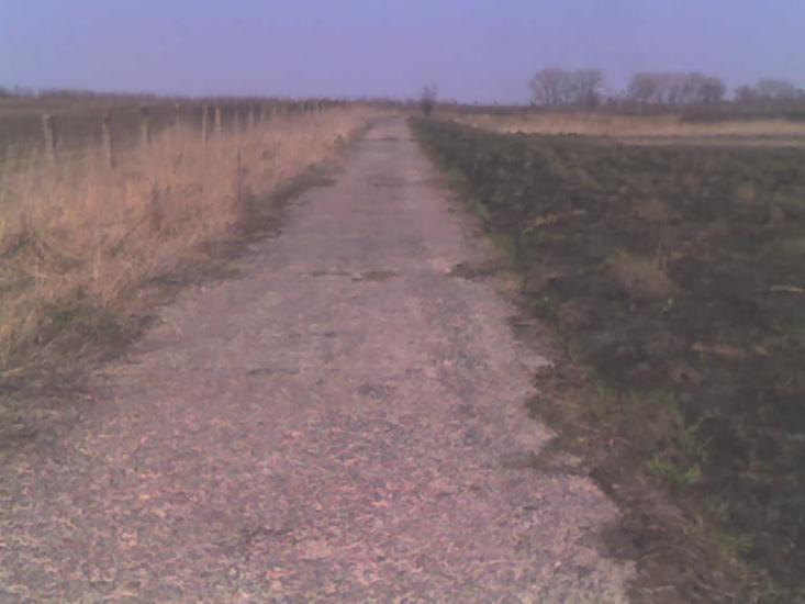 Велика Омеляна з panoramio.com - Великая Омеляна