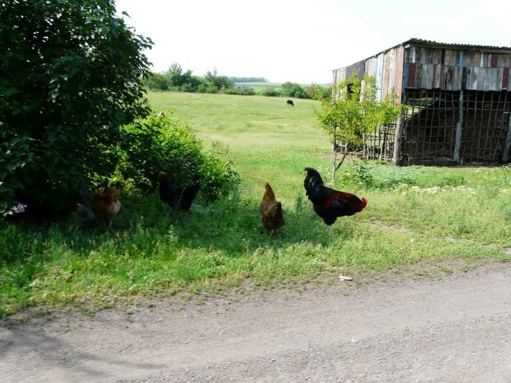 Строїтель з panoramio.com - Строитель