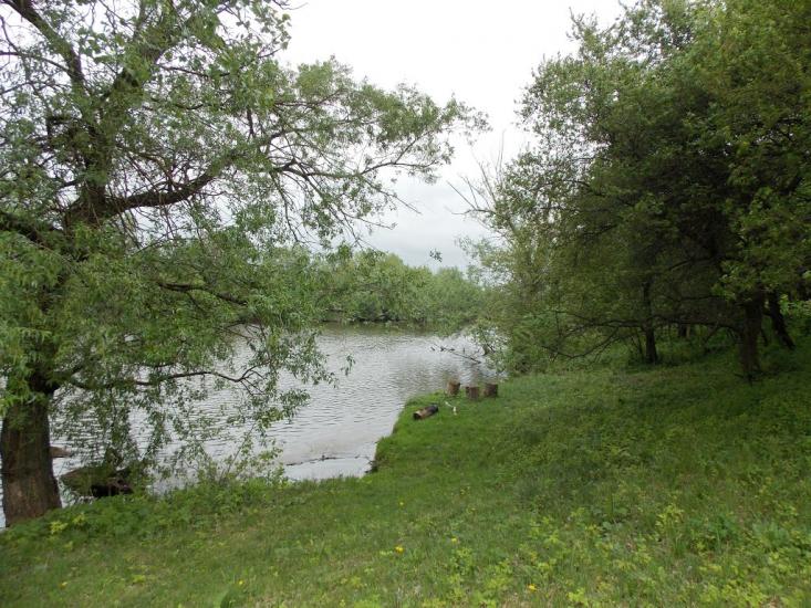 Удич з panoramio.com - Udych