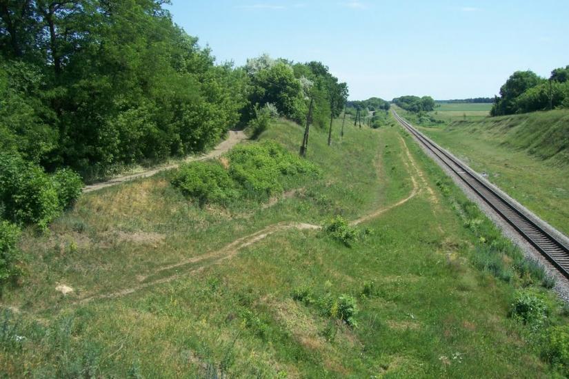 Дмитрівка з panoramio.com - Дмитрівка