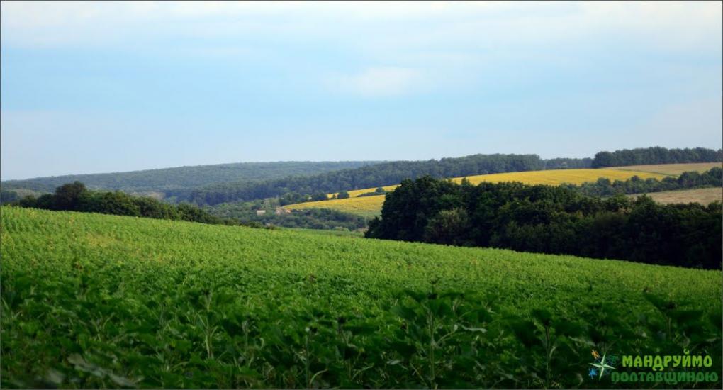 Вищі Вільшани з panoramio.com - Вищі Вільшани