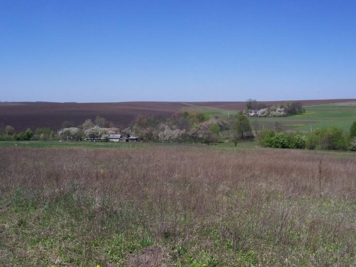 Грабичанка з panoramio.com - Грабичанка