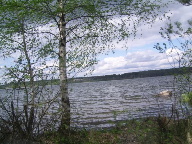 Малин з panoramio.com - Malyn