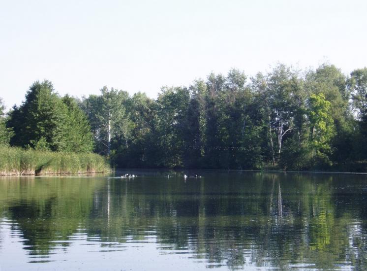 Остап'є з panoramio.com - Остапье