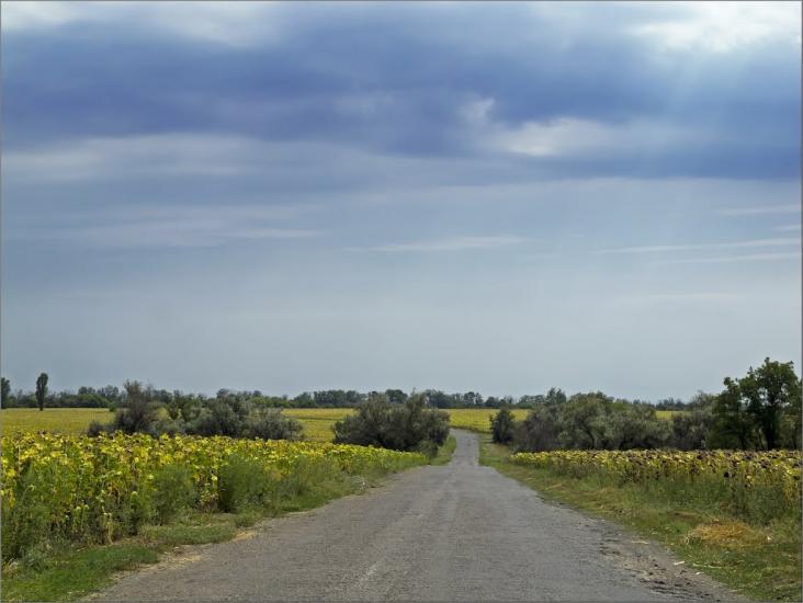 Веселе Поле з panoramio.com - Веселе Поле