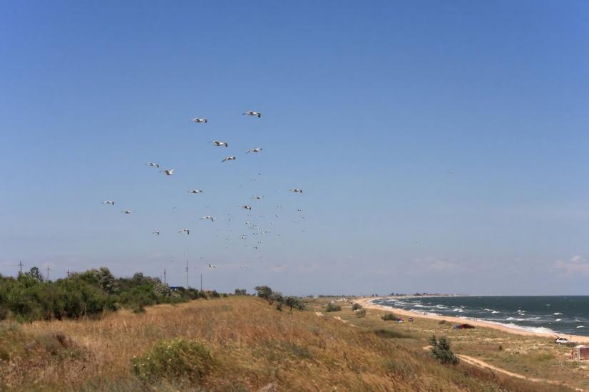 Кам'янське з panoramio.com - Кам'янське