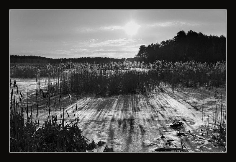 Хоцьки з panoramio.com - Хоцки