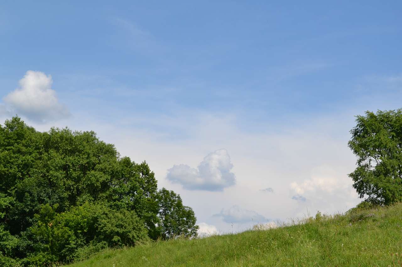 рогачі - Рогачі