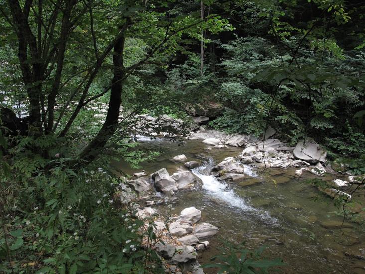 Чорноголова з panoramio.com - Черноголова