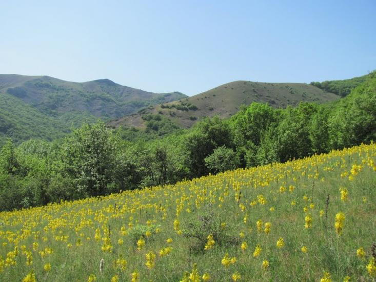 Міжріччя з panoramio.com - Міжріччя