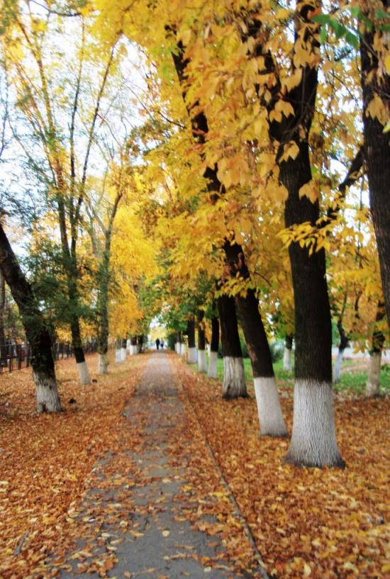Пологи з panoramio.com - Пологи