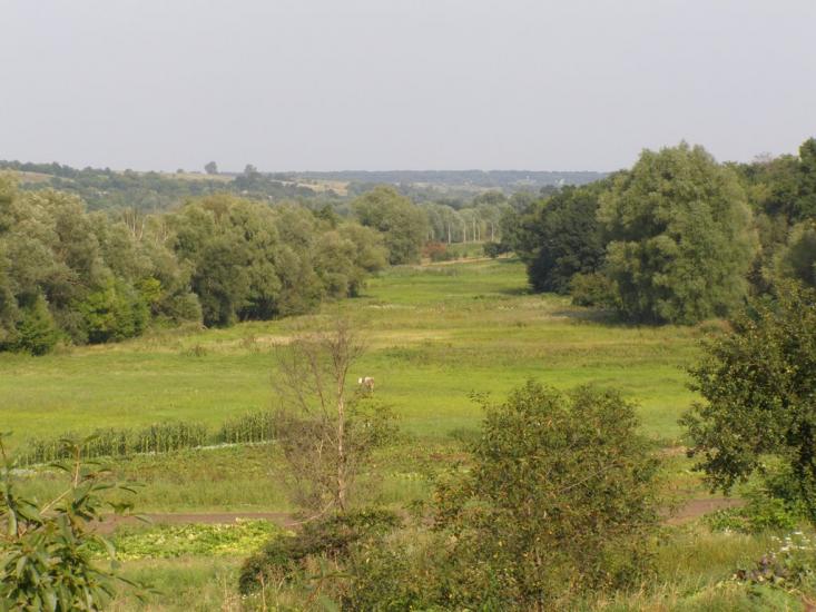 Вільшана з panoramio.com - Вільшана