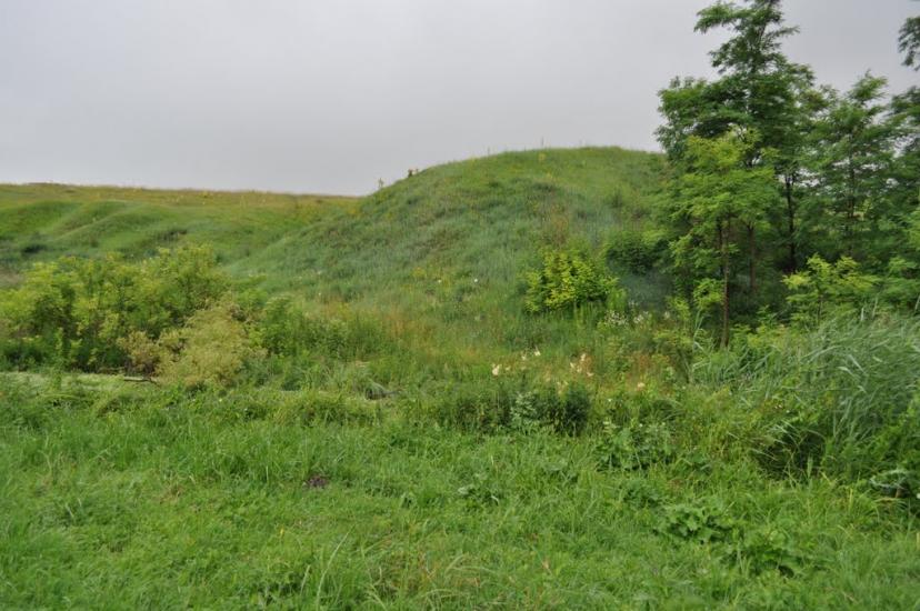 Заріцьк з panoramio.com - Зарецк